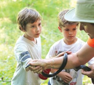 Connie Deegan Snakes of Appalachia